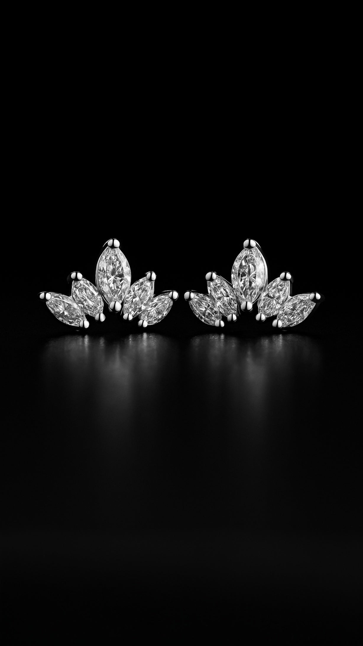 Aristocratic Adornments Earrings