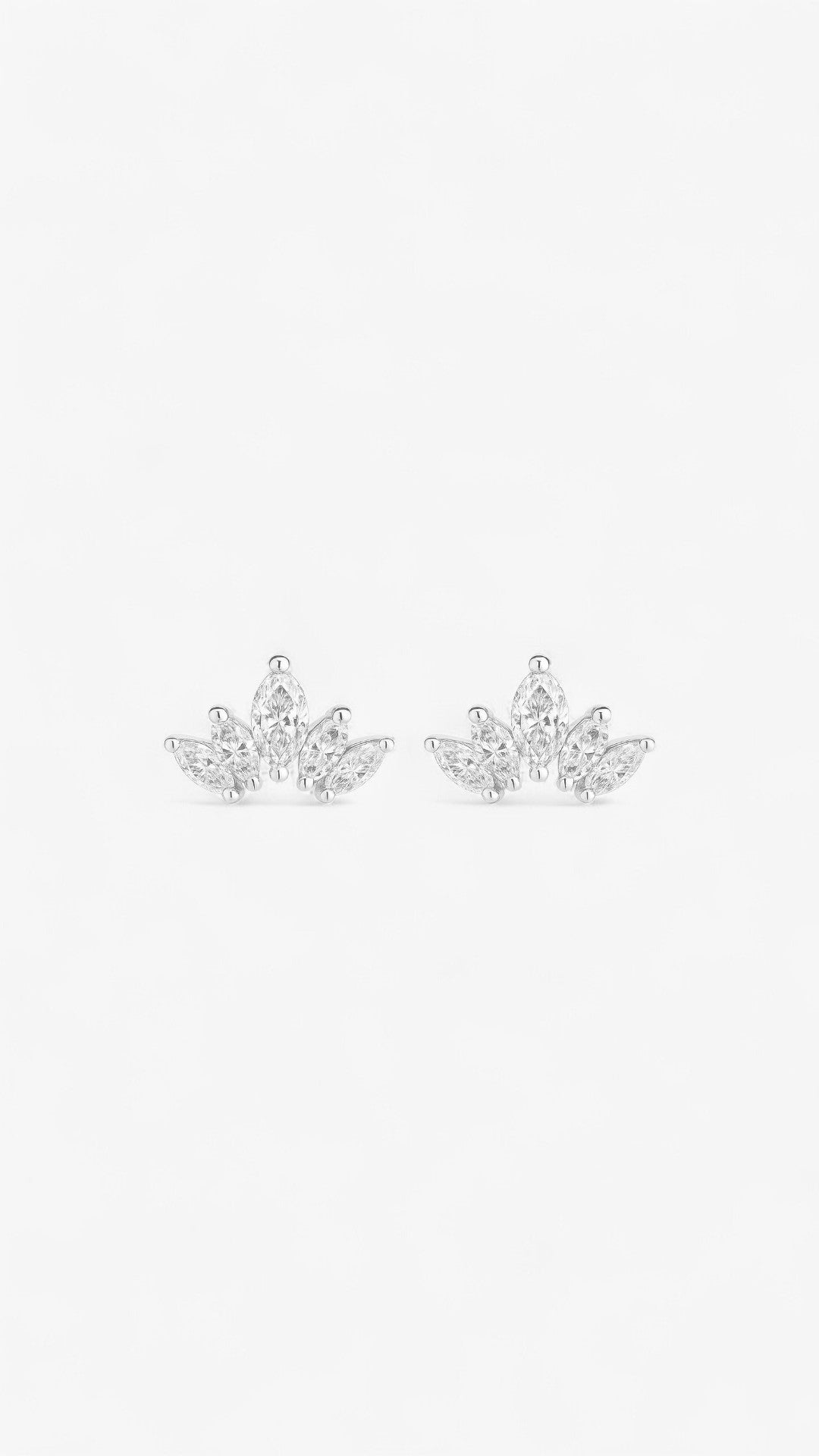 Aristocratic Adornments Earrings