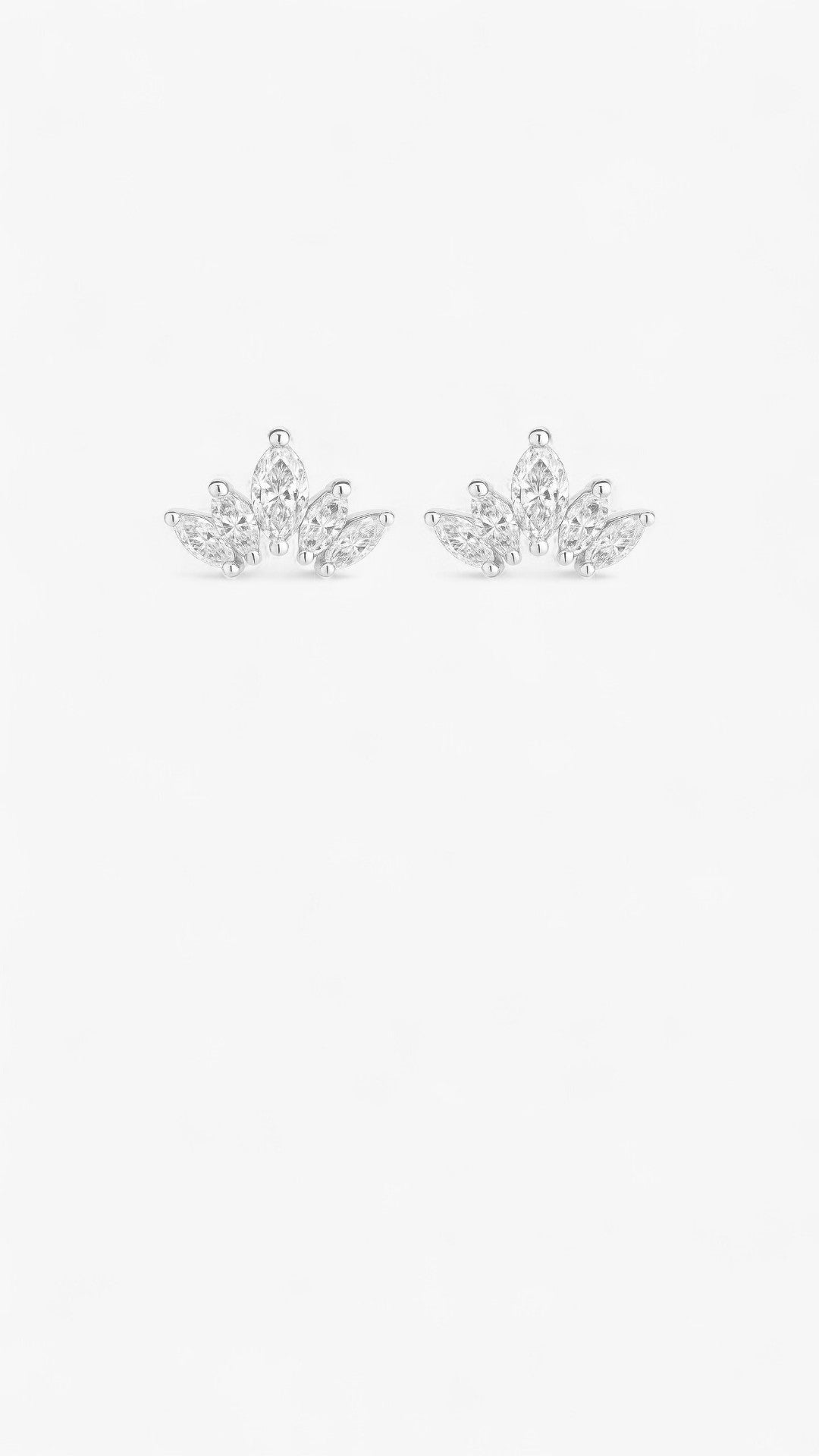 Aristocratic Adornments Earrings