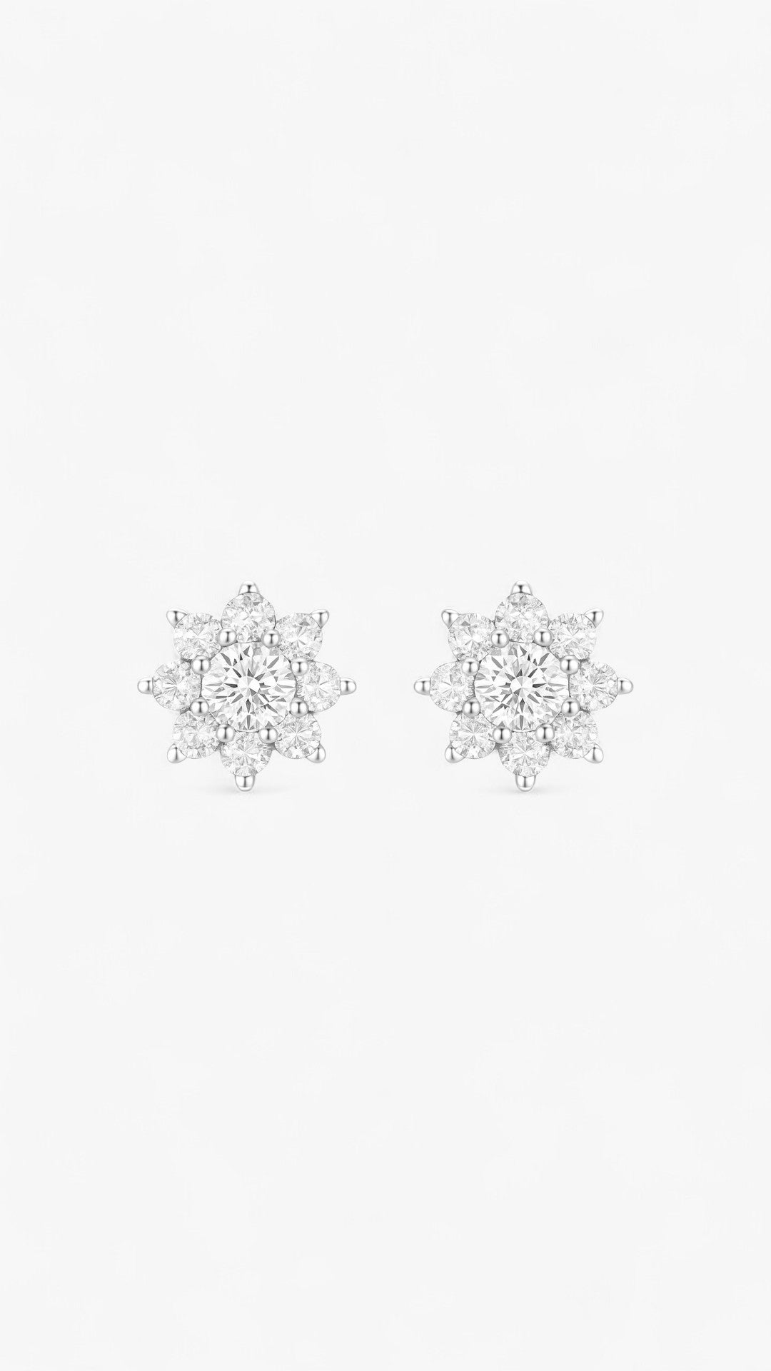 Frosted Glamour Earrings