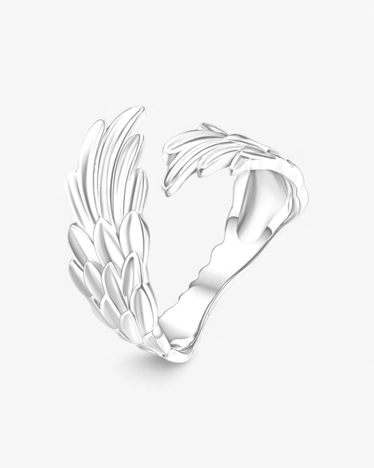 Anillo de vuelo del guardián