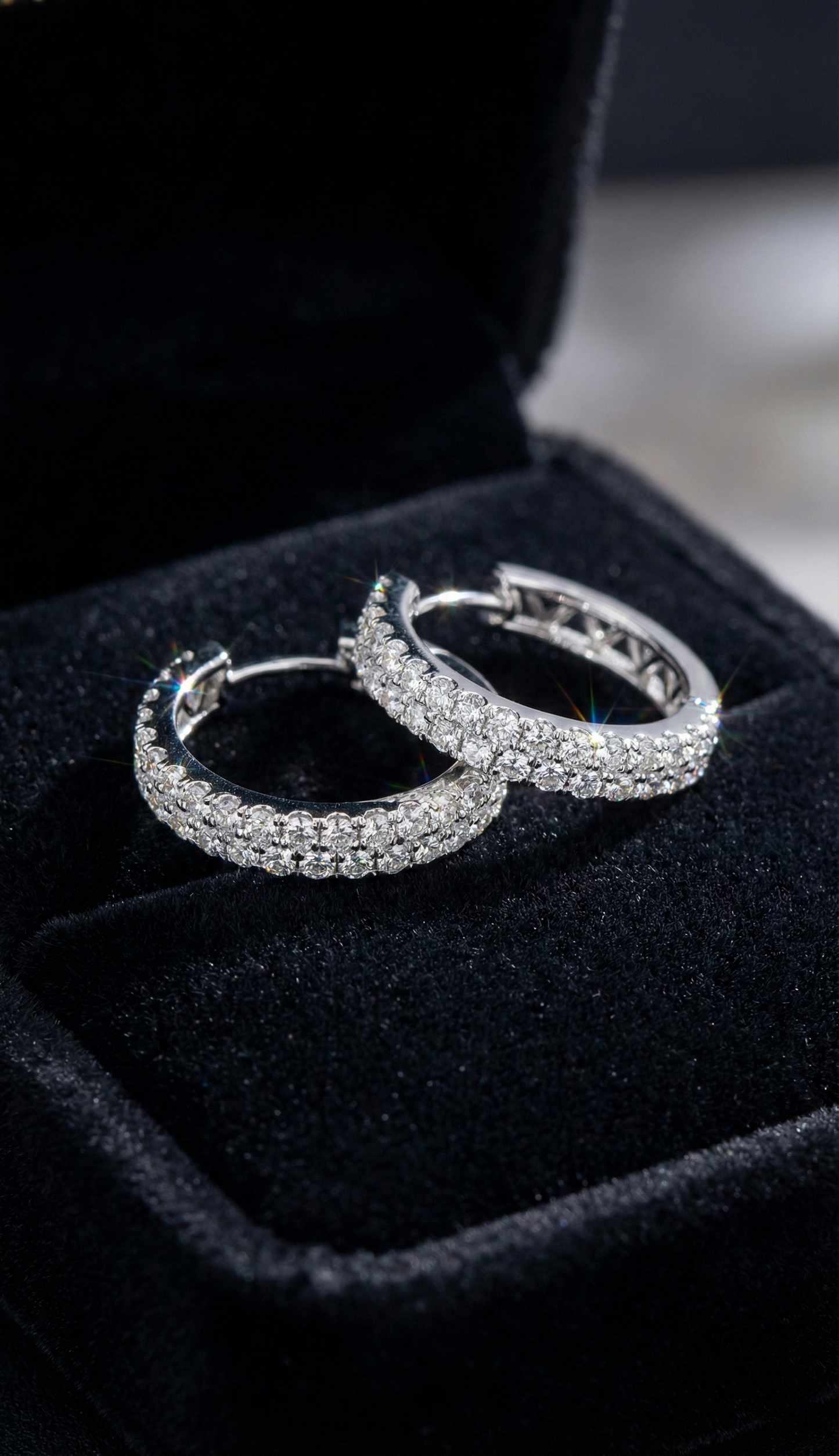 Luxury Loops Earrings