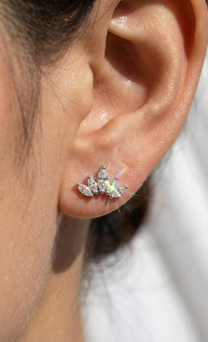 Aristocratic Adornments Earrings