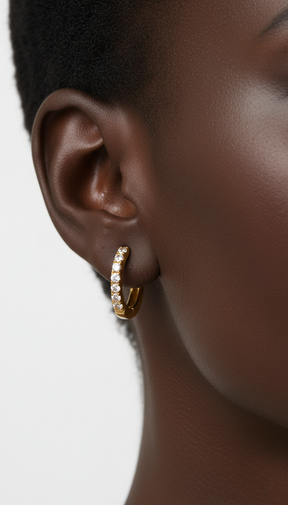 Lunar Gleam Örhängen