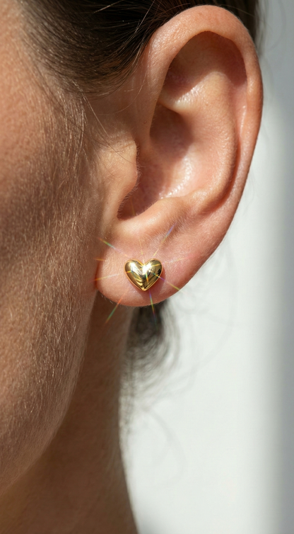 Heartfelt Harmony Earrings