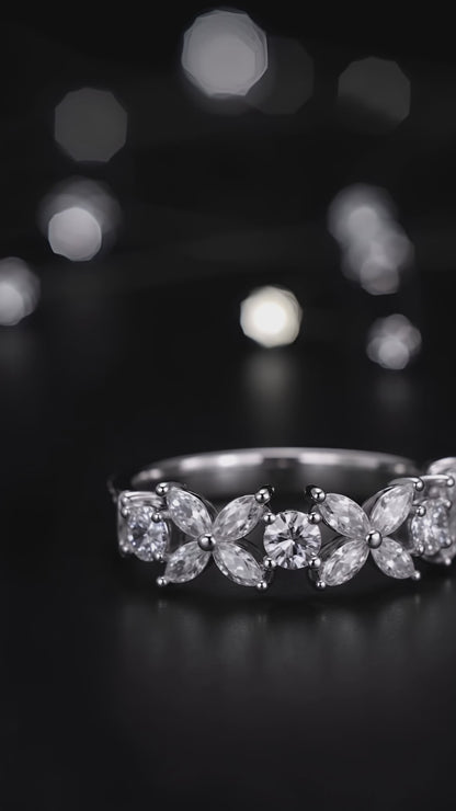 Anillo del Jardín Cósmico