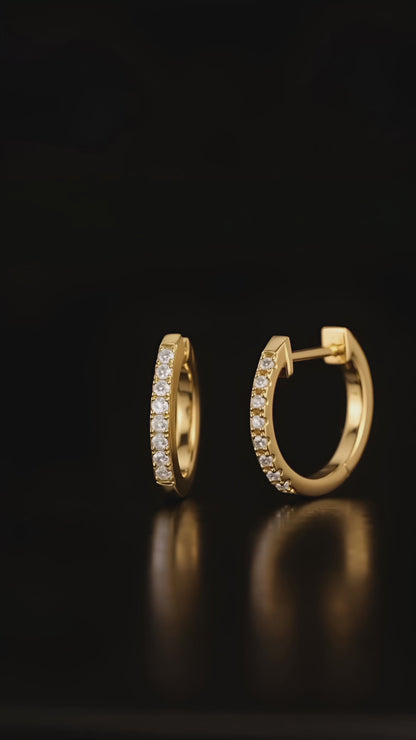 Lunar Gleam Örhängen