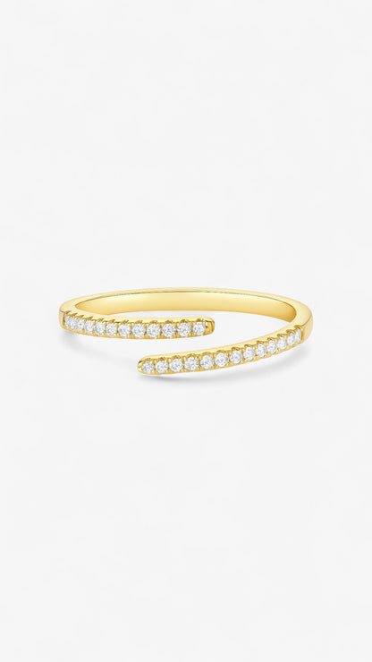 Galaktisk Orbit Ring