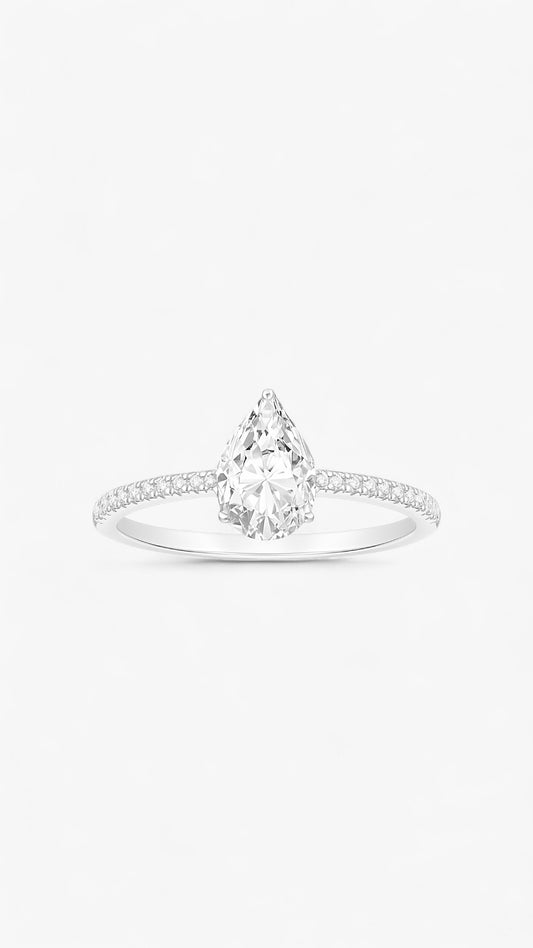 Anillo Colectivo Cosmos