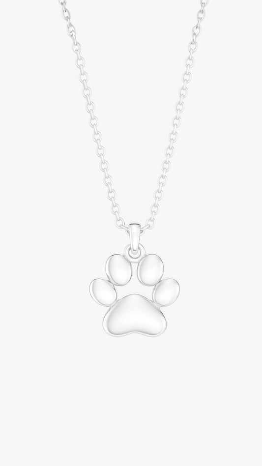 Paw Perfection Halsband
