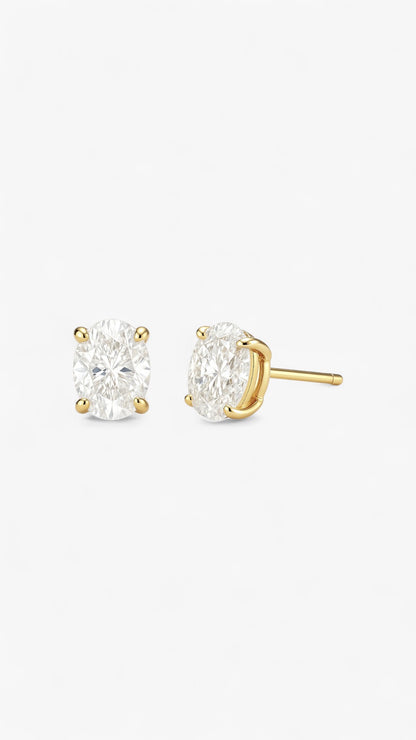 Luxe Lumière Örhängen