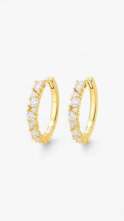 Majestätisk Lycka Örhängen