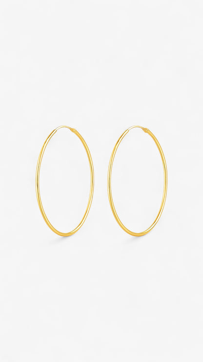 Universella Glansörhängen