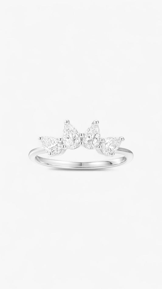Anillo de la Nebulosa Nova