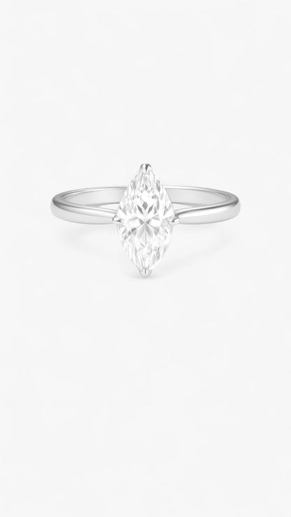 Anillo de visión astral