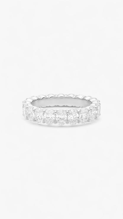 Anillo de piedra lunar con órbita