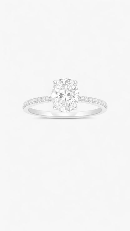 Luxury Shine Ring